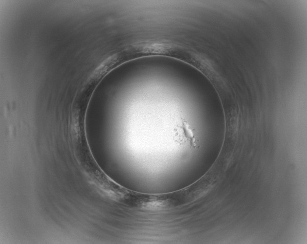 X0000080130312200612081237