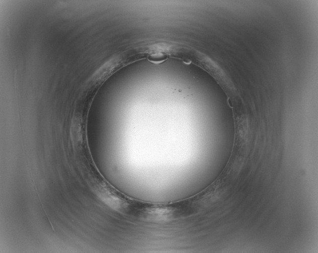 X0000080130313200612081237