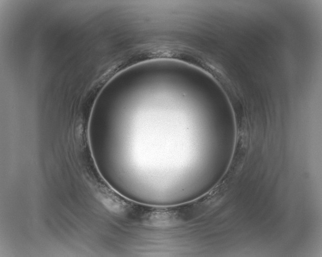 X0000080130314200612081237