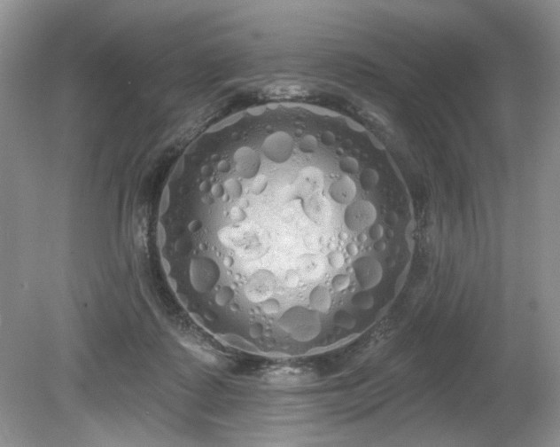 X0000080130315200612081237