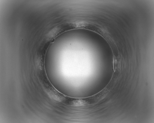 X0000080130316200612081237