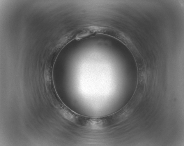 X0000080130317200612081237