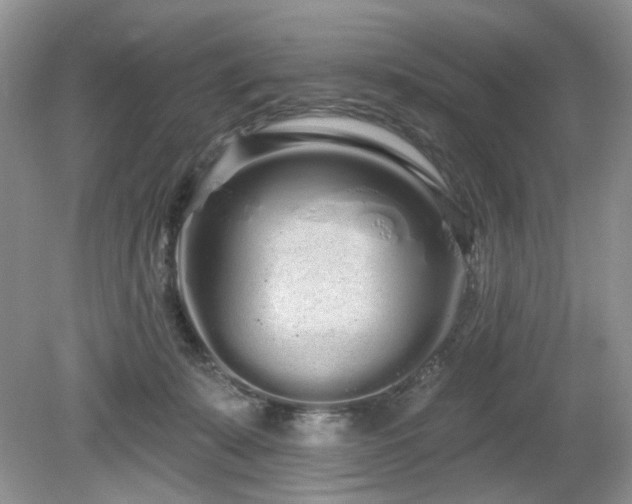 X0000080130319200612081237