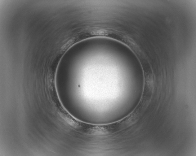 X0000080130322200612081237