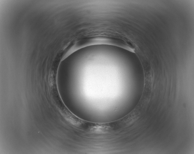 X0000080130323200612081237