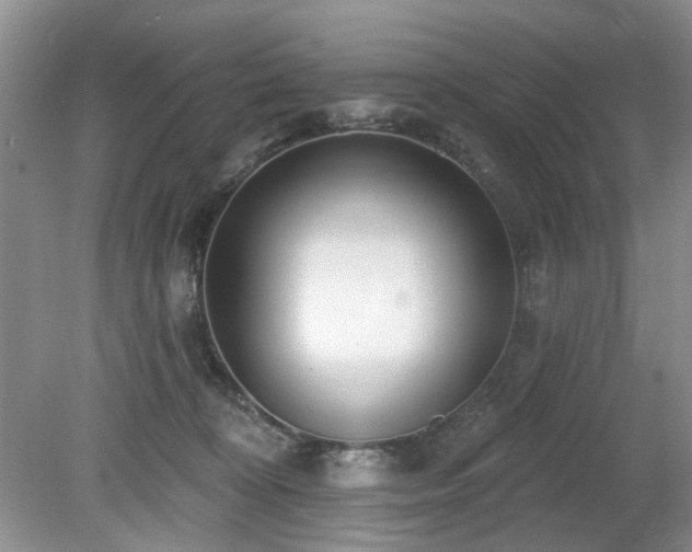 X0000080130324200612081237