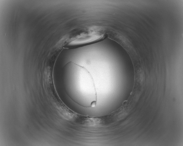 X0000080130328200612081236