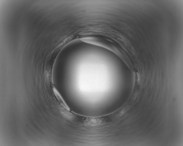 X0000080130329200612081236