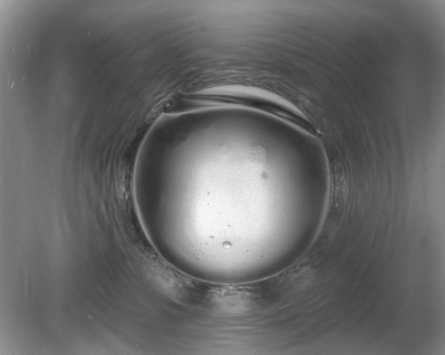 X0000080130331200612081236