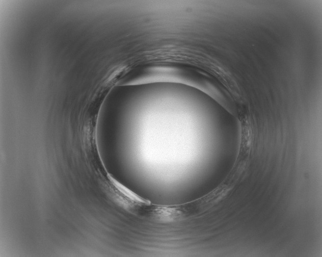 X0000080130333200612081236