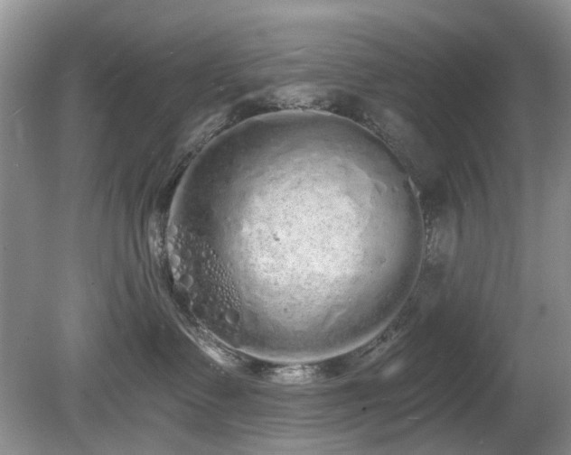 X0000080130335200612081236