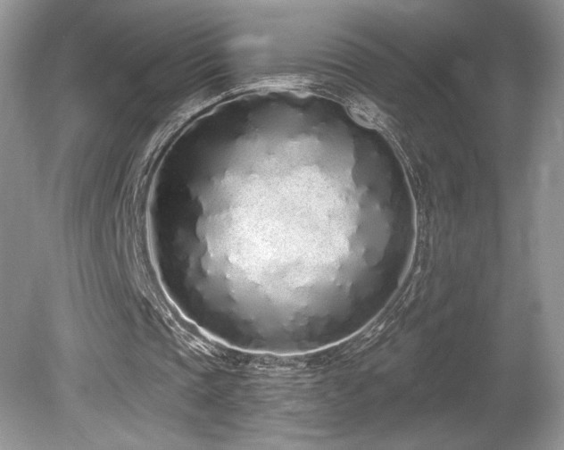 X0000080130337200612081236