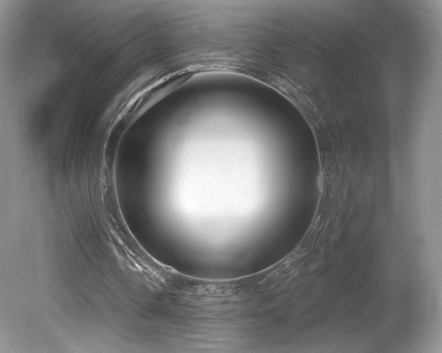 X0000080130338200612081236