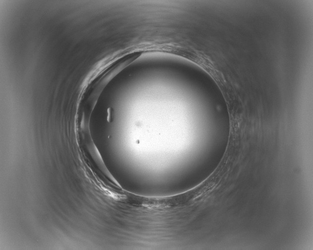 X0000080130340200612081236