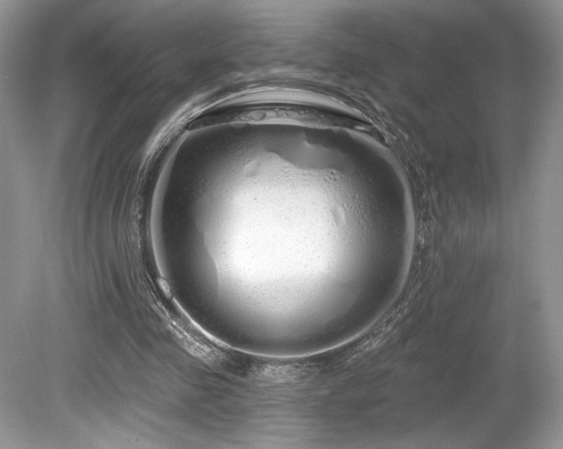 X0000080130341200612081236