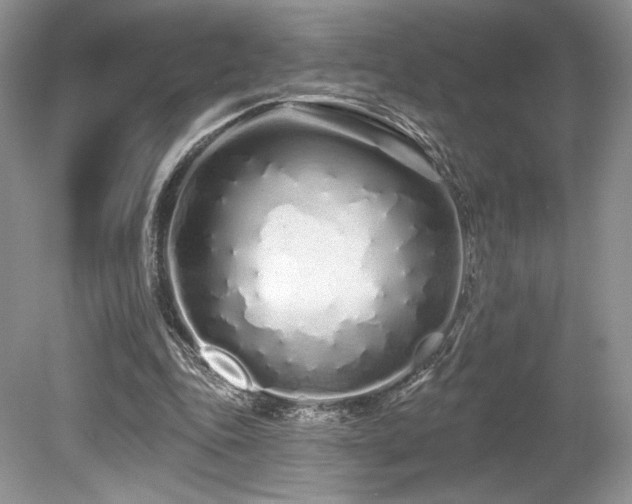 X0000080130343200612081236