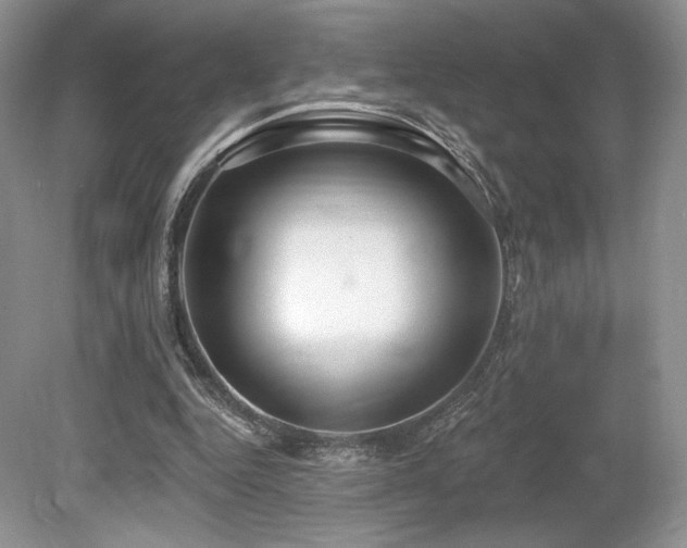 X0000080130344200612081236