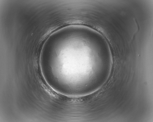 X0000080130345200612081236