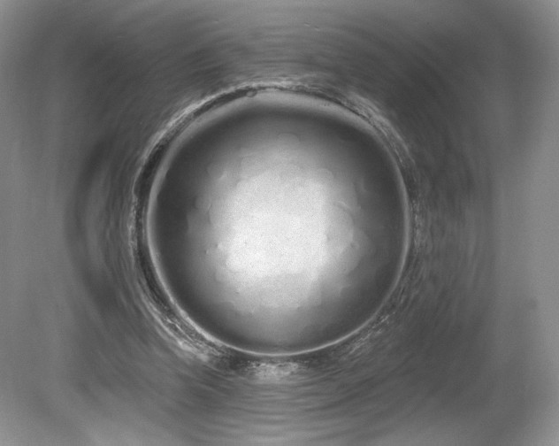 X0000080130346200612081236