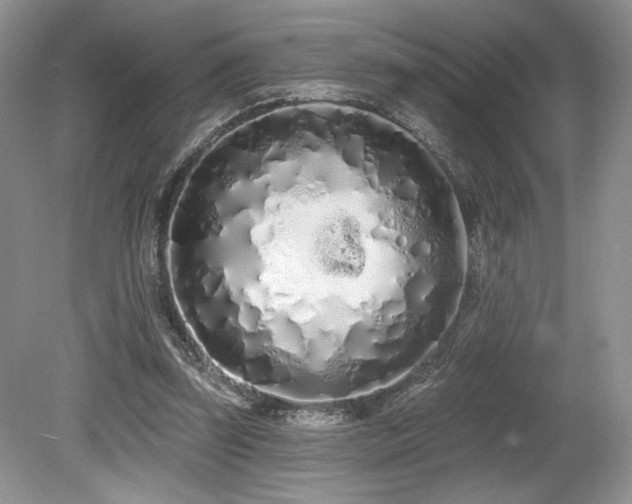 X0000080130347200612081236