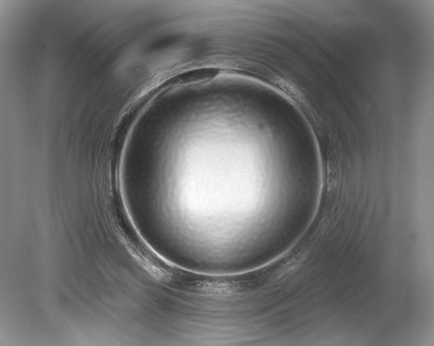 X0000080130349200612081236