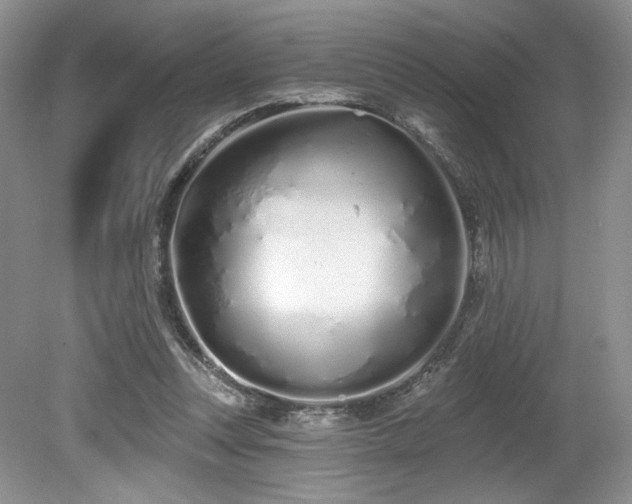 X0000080130351200612081236