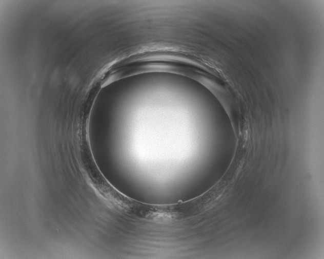 X0000080130352200612081236