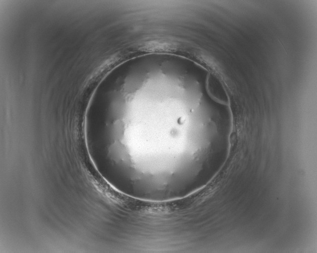 X0000080130353200612081236