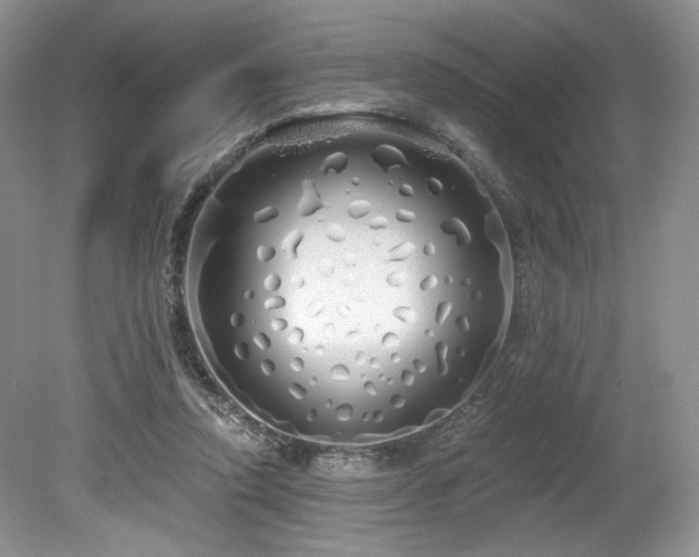 X0000080130354200612081236