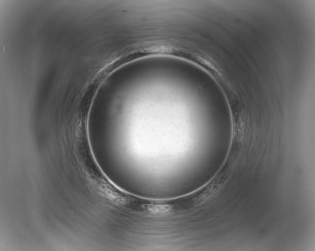 X0000080130355200612081236