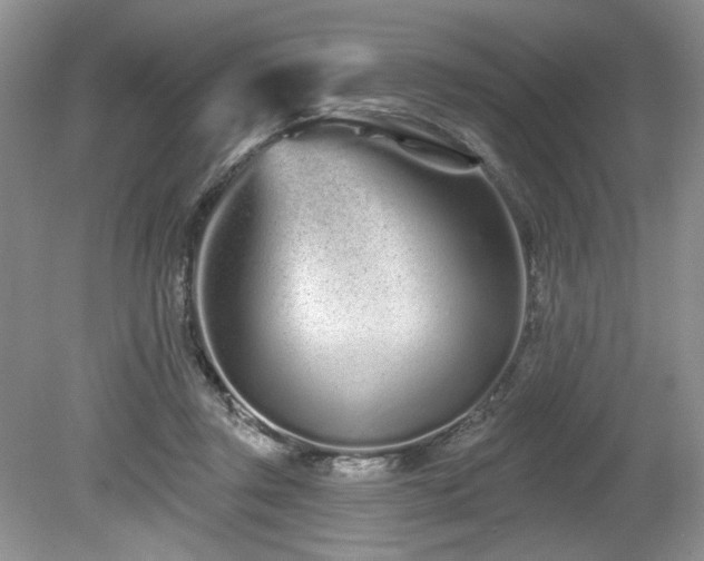 X0000080130357200612081236