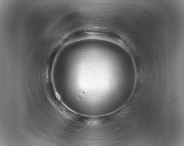 X0000080130358200612081236