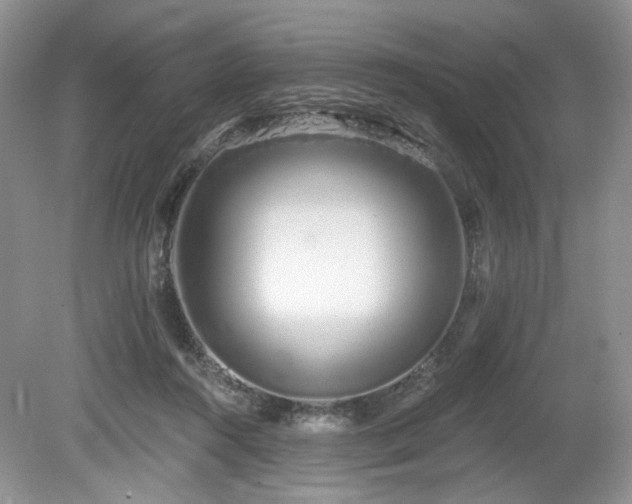 X0000080130360200612081236