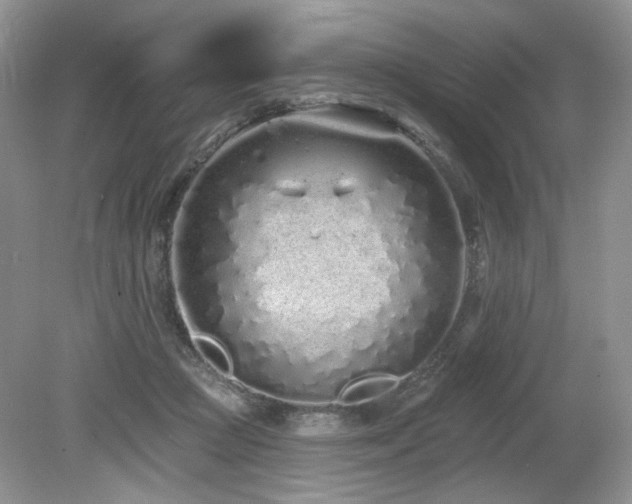 X0000080130361200612081236