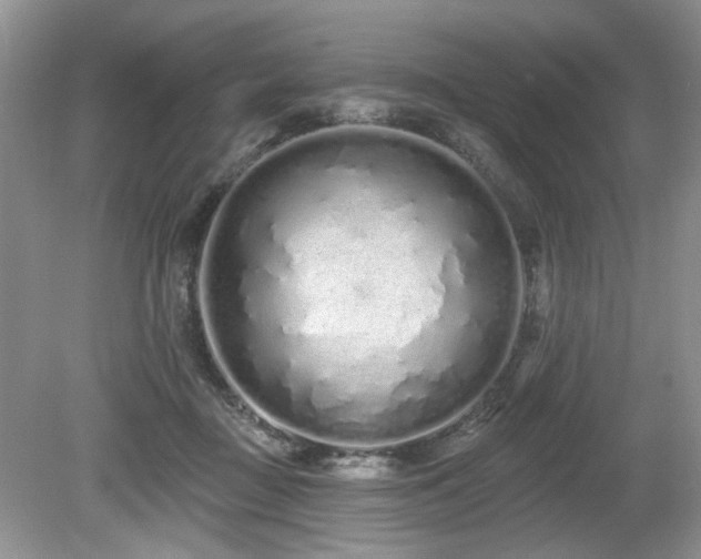 X0000080130363200612081236