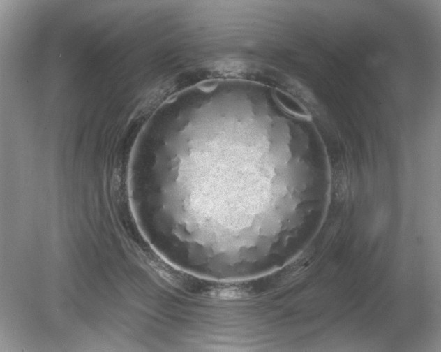 X0000080130365200612081236