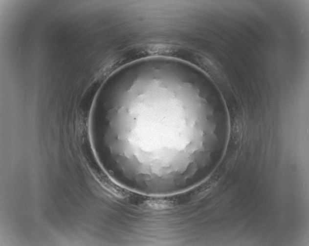 X0000080130367200612081236