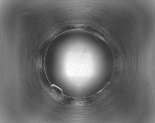 X0000080130368200612081236