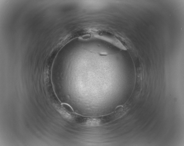 X0000080130369200612081236