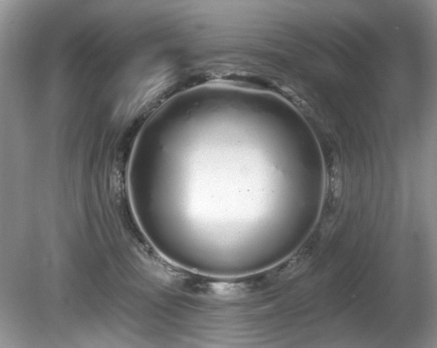 X0000080130371200612081236