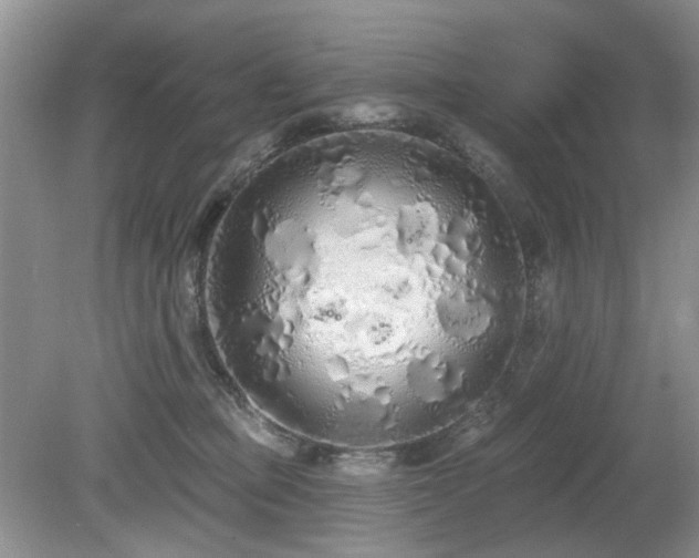 X0000080130373200612081236