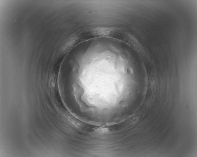 X0000080130374200612081236