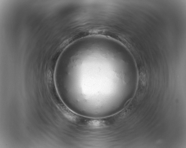 X0000080130375200612081236