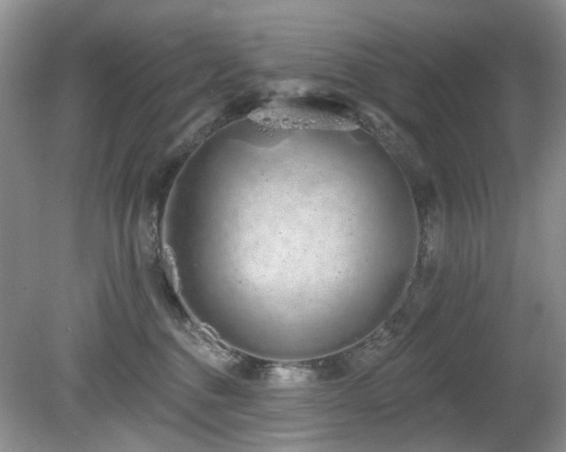 X0000080130376200612081236