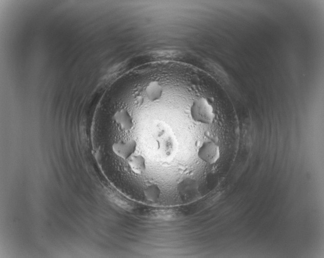 X0000080130377200612081236