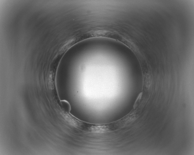 X0000080130378200612081236