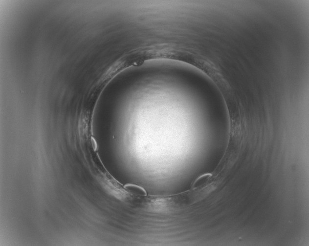 X0000080130382200612081236