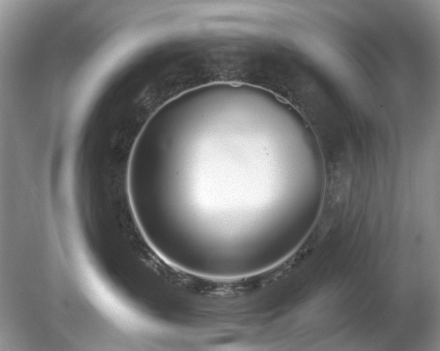 X0000080130383200612081236