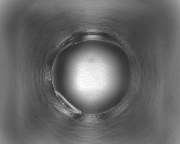 X0000080130384200612081236