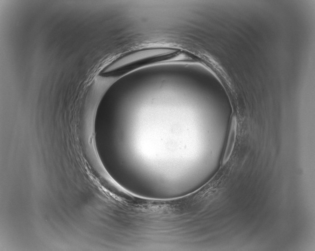 X0000080130385200612081235